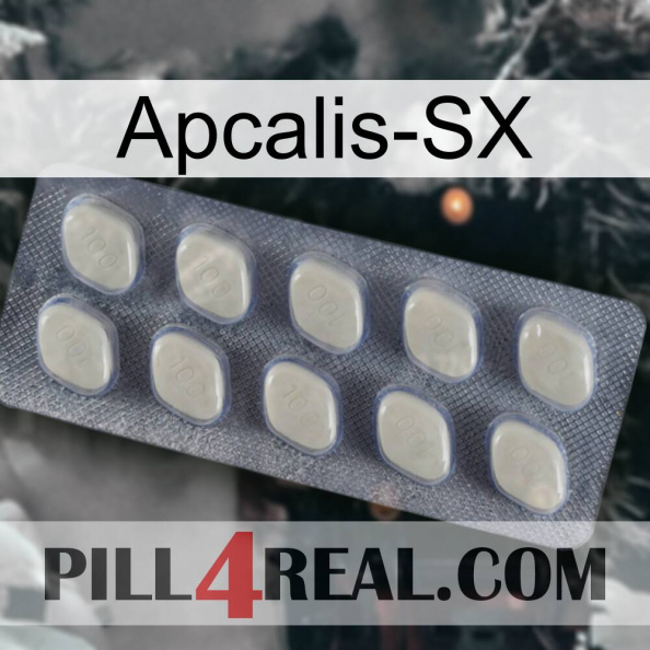 Apcalis-Sx 08.jpg